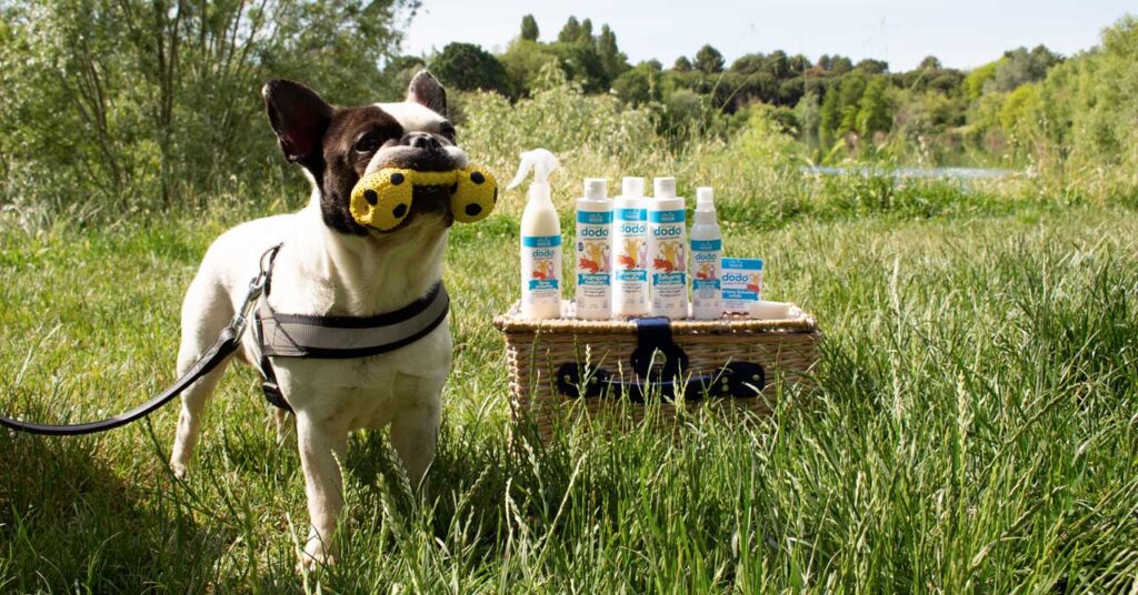 un cane insieme ai nostri prodotti per tenere lontani zanzare e insetti