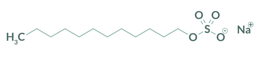 Sodium Lauryl Sulfate molecola